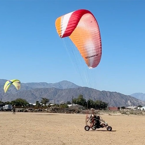 Used ozone buzz glider - ozone,